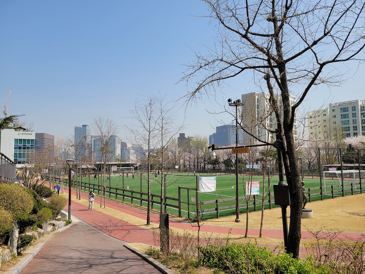 這座城市以